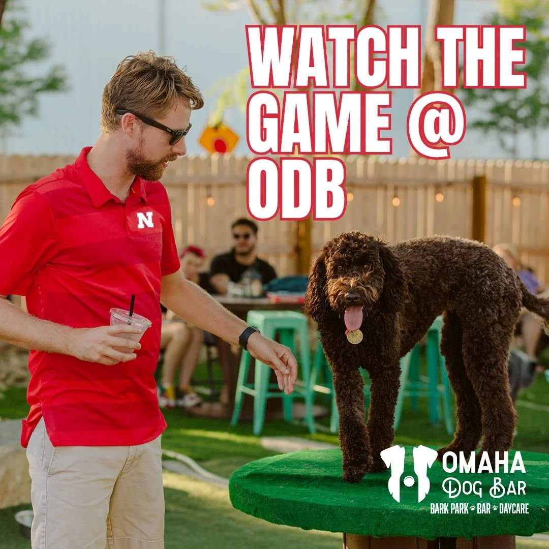 🌽🏈 HUSKER GAME DAYS AT ODB! 🏈🌽

We ALWAYS have the Husker games on, and it's way more fun to watch the game with your best furrrriend. 

5 TVs &mdash; 4 inside + 1 outside
Happy Hour during the game
$5 Husker Bombs &mdash; Crown Apple + cranberry