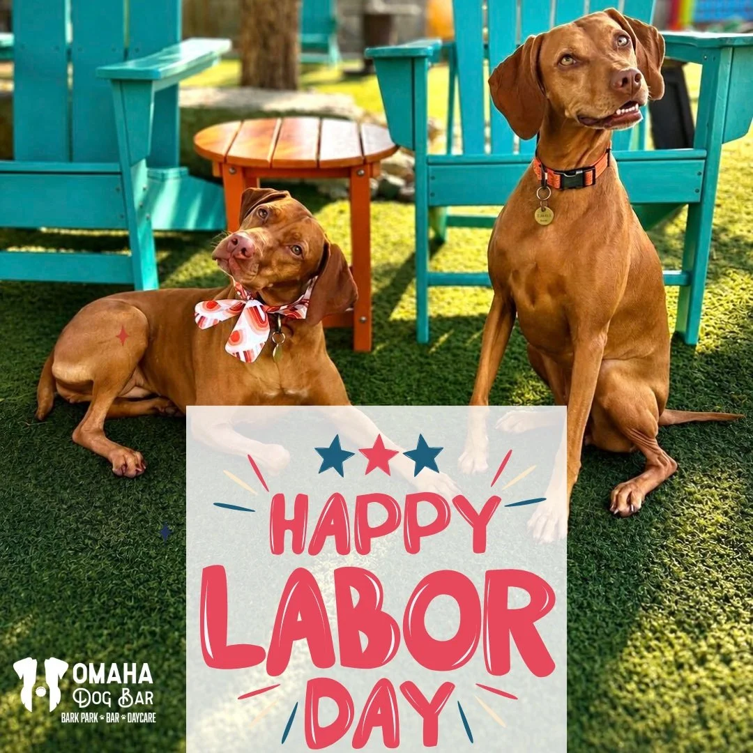 Reminder! We are CLOSED tomorrow for Labor Day, which means no daycare!

Our staff will be taking the day to relax and enjoy time with family and friends, and we hope you get to do the same! 

We&rsquo;ll see you and your pups Tuesday!