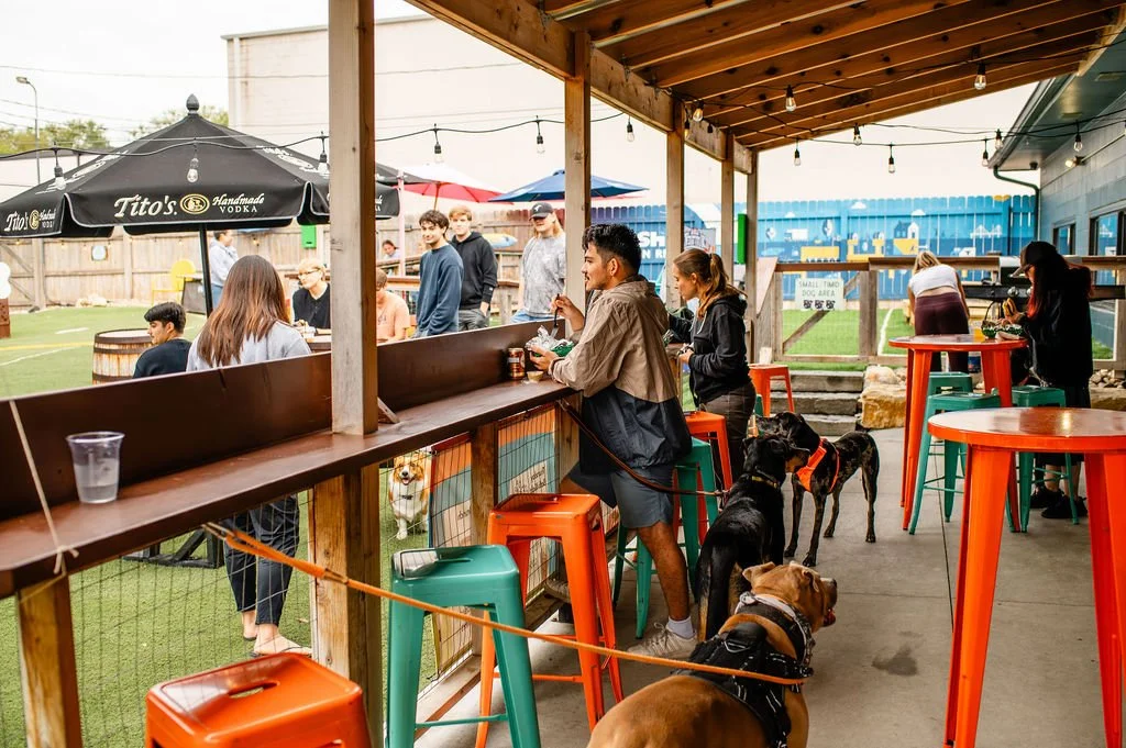 ODBBarktoberfest-4.jpg