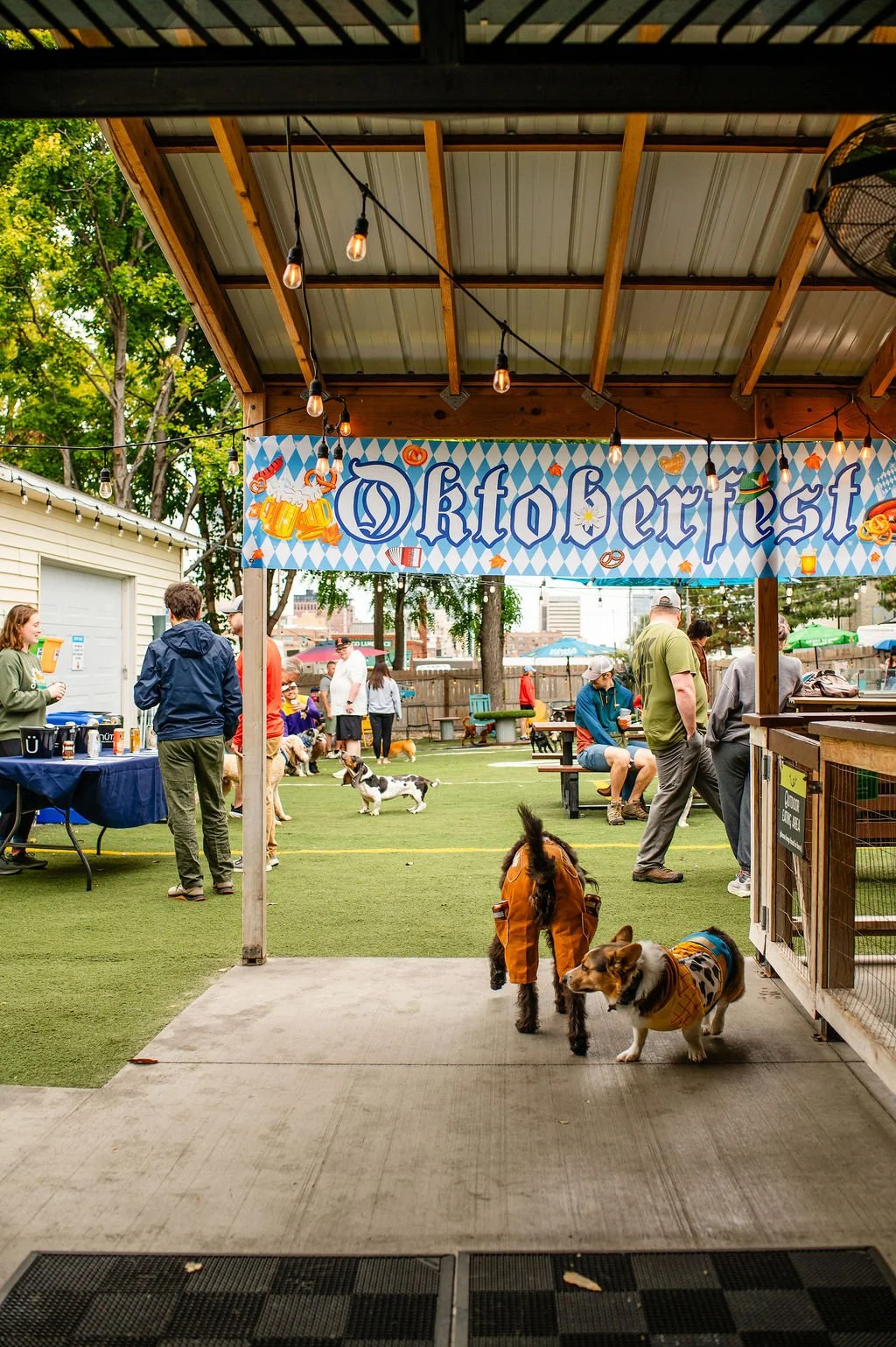 ODBBarktoberfest-5.jpg