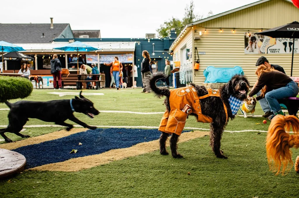 ODBBarktoberfest-9.jpg