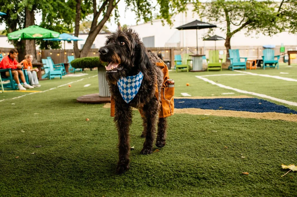 ODBBarktoberfest-11.jpg