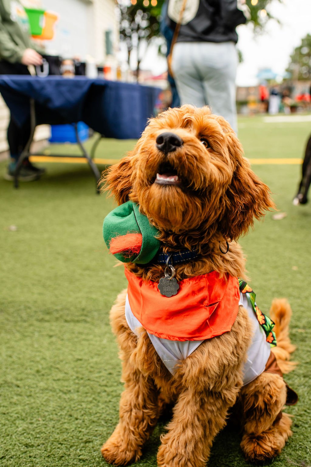ODBBarktoberfest-14.jpg