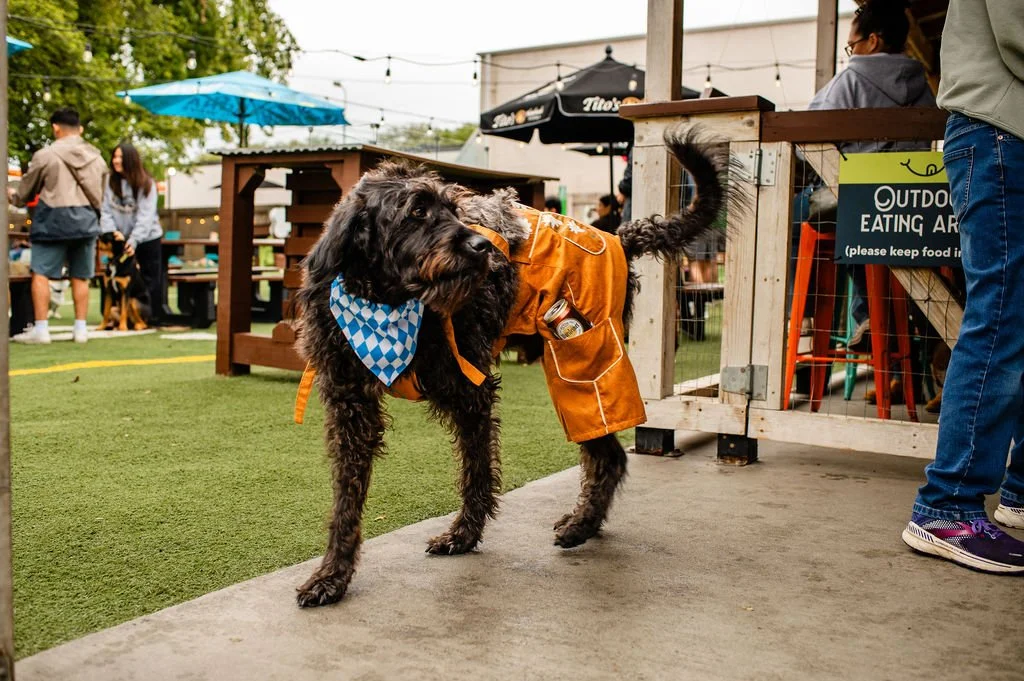 ODBBarktoberfest-15.jpg