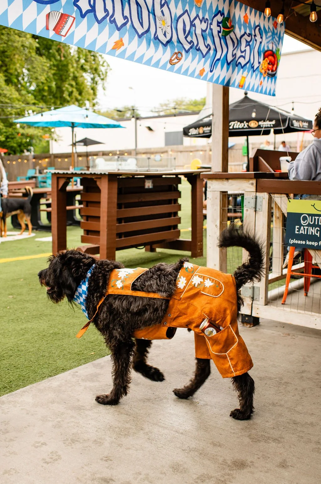 ODBBarktoberfest-16.jpg
