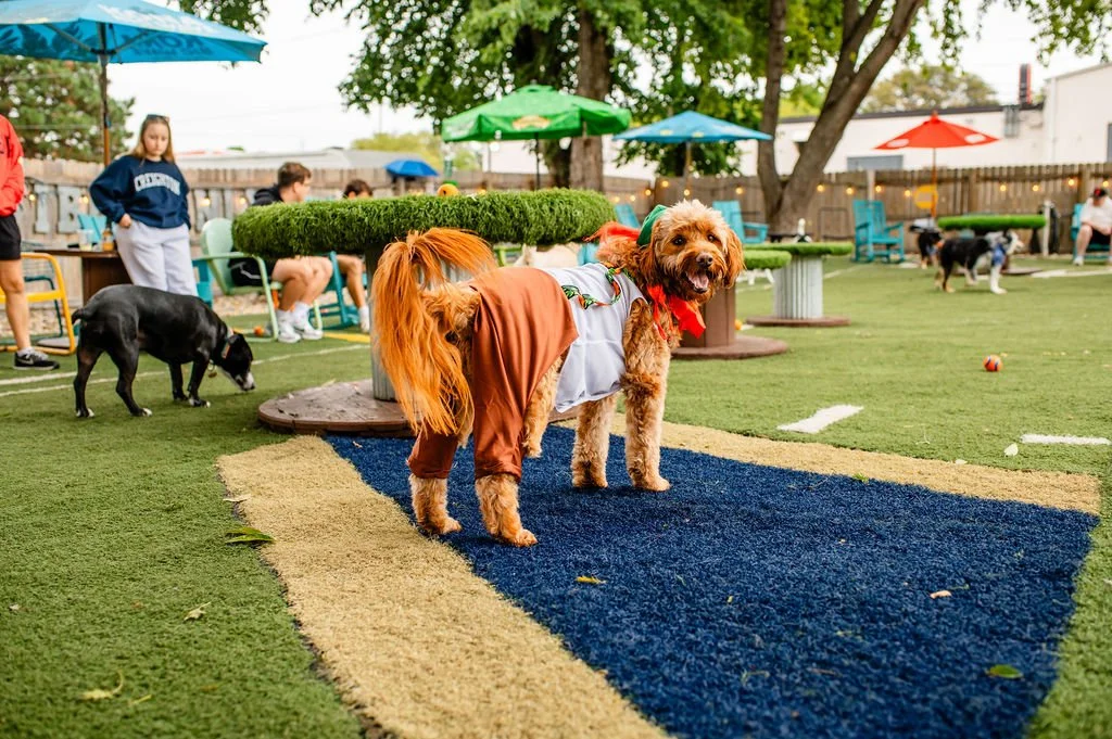ODBBarktoberfest-29.jpg