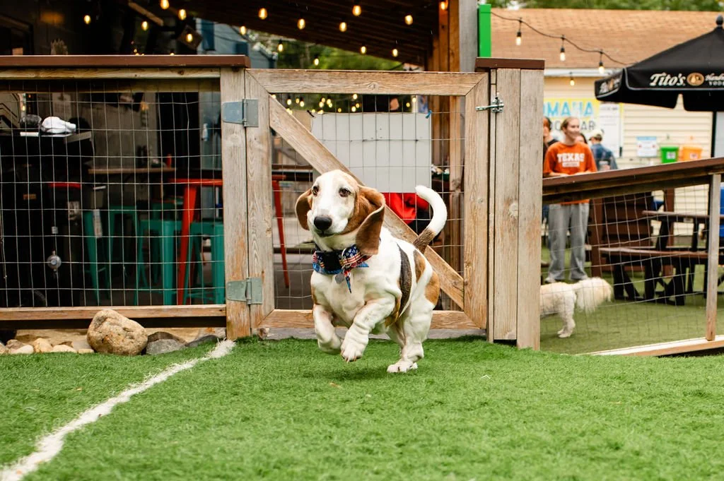 ODBBarktoberfest-35.jpg