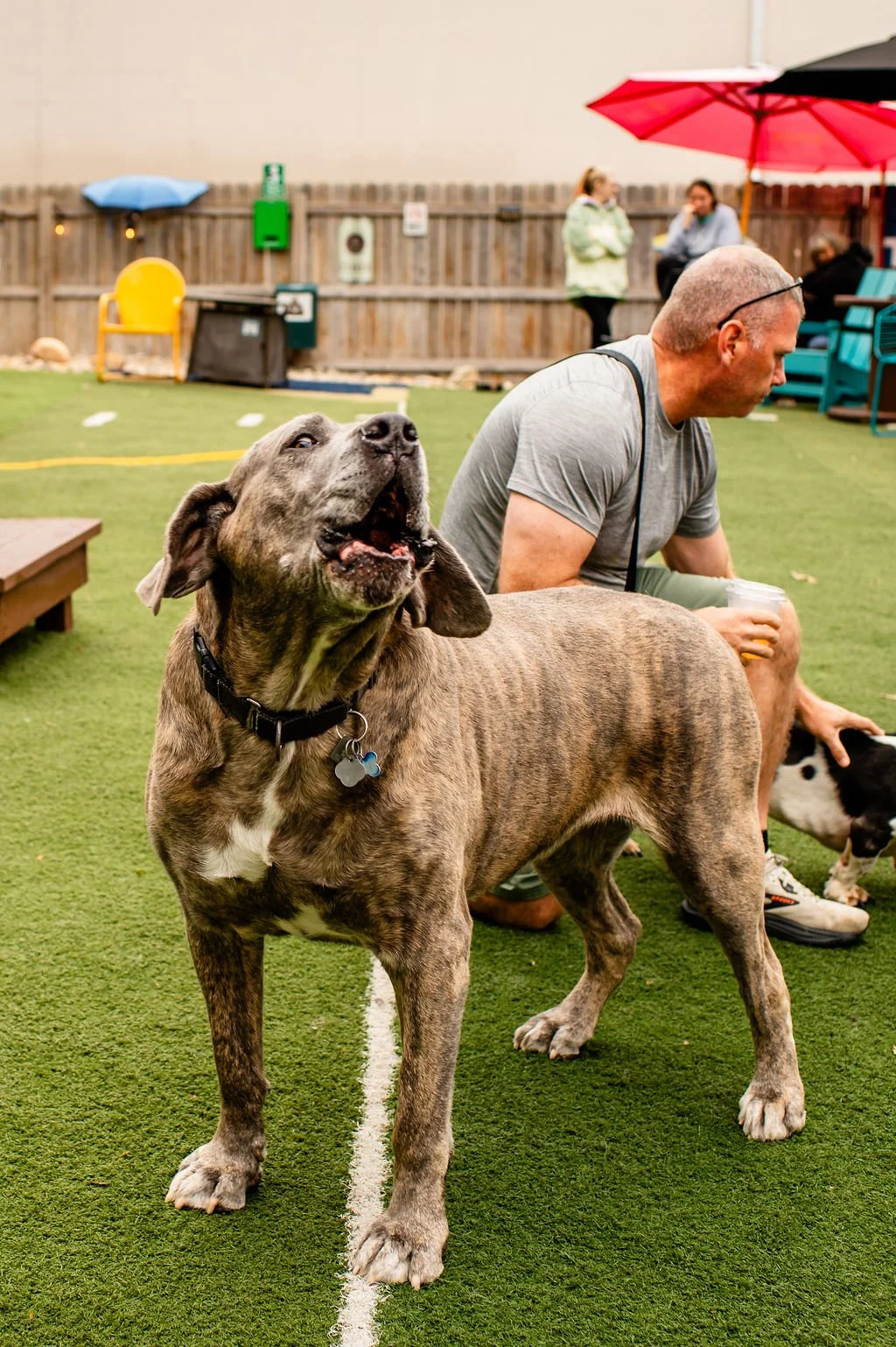 ODBBarktoberfest-40.jpg