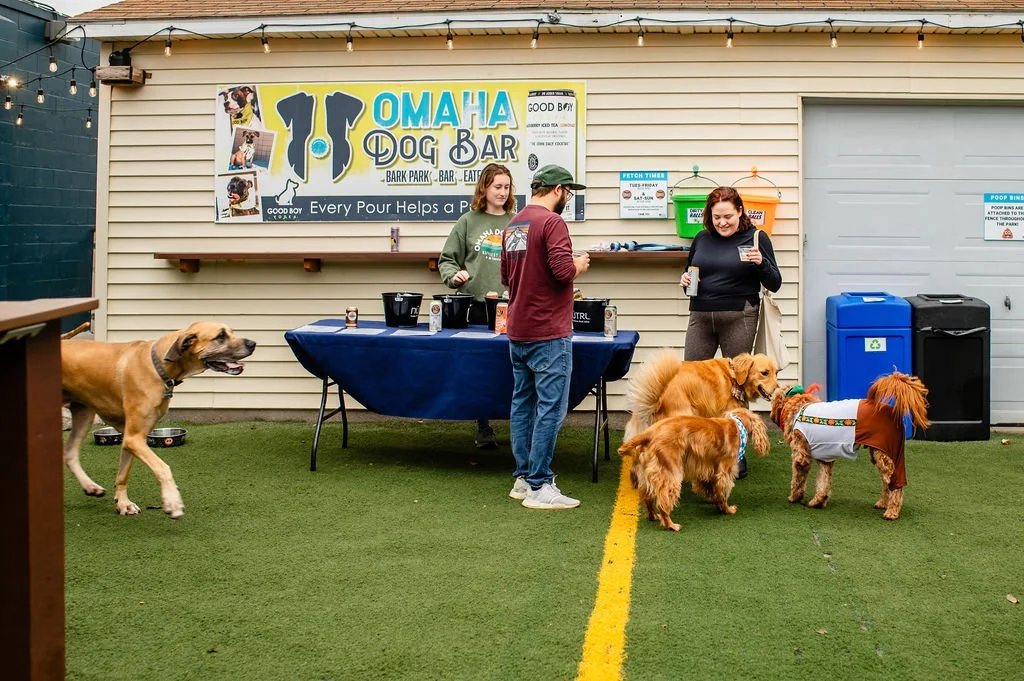 ODBBarktoberfest-44.jpg