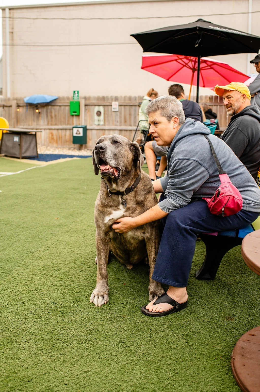 ODBBarktoberfest-47.jpg