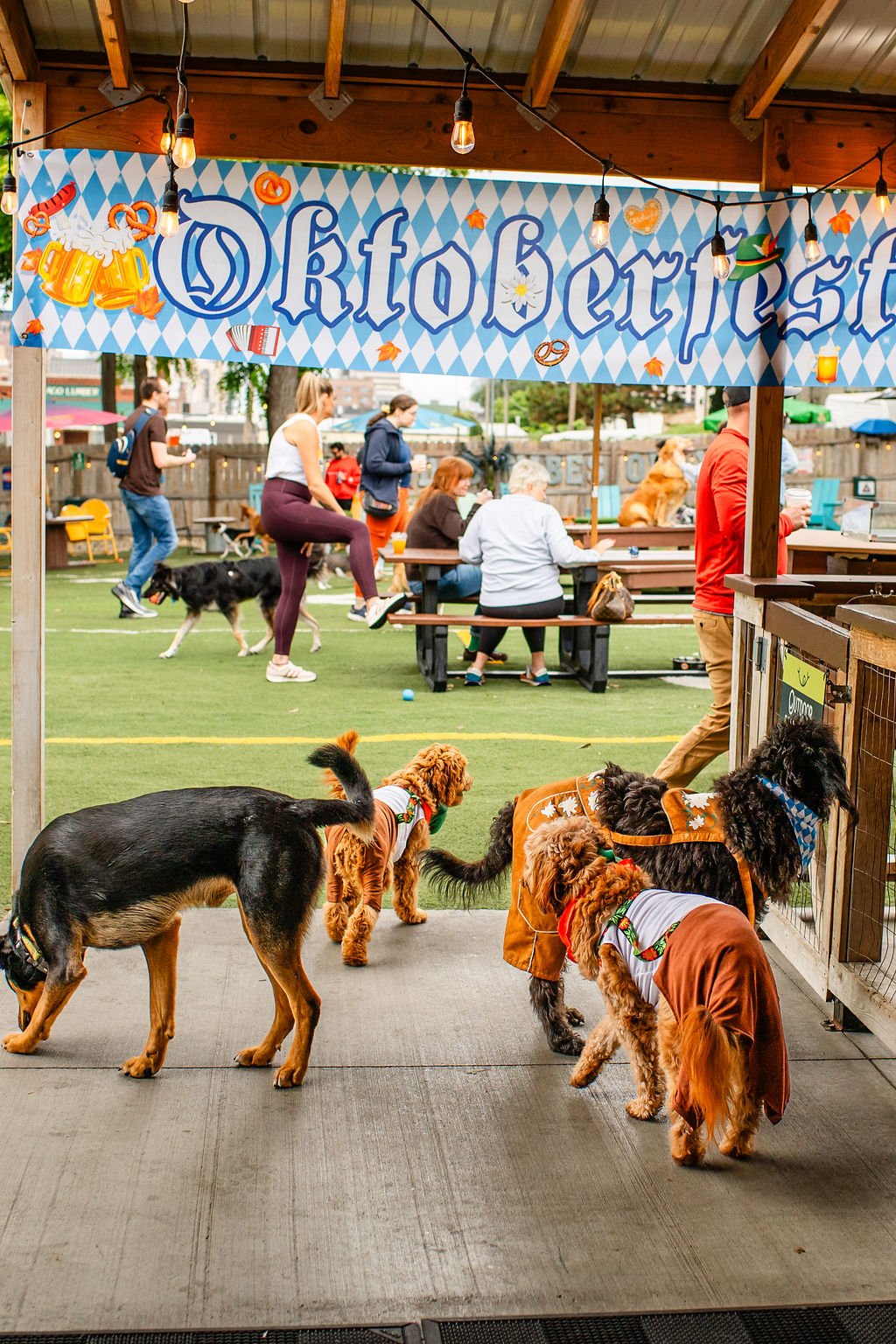 ODBBarktoberfest-58.jpg