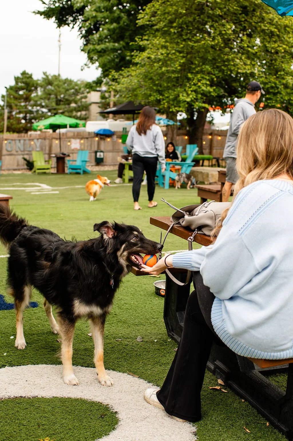 ODBBarktoberfest-59.jpg