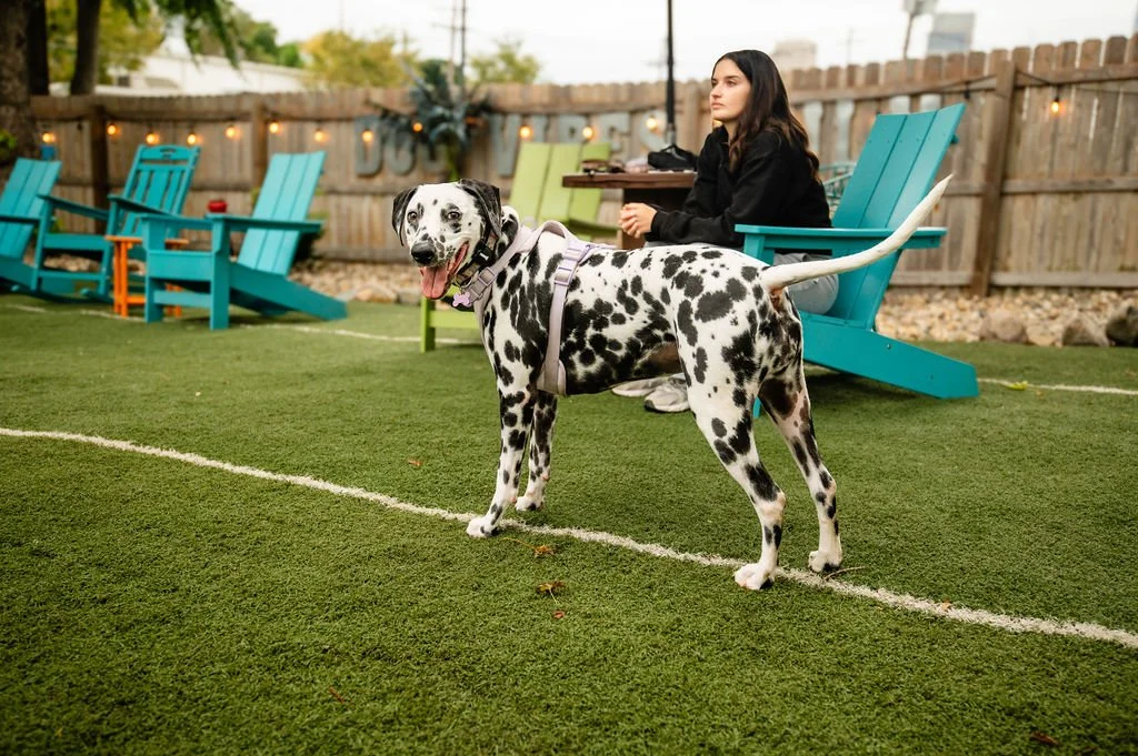 ODBBarktoberfest-65.jpg