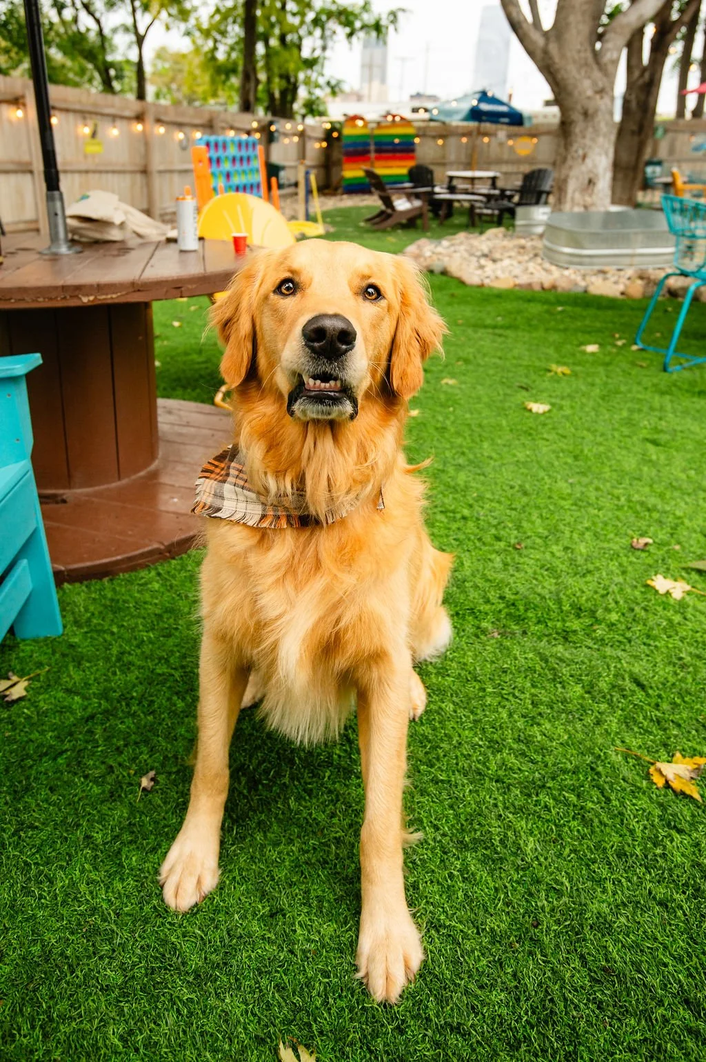 ODBBarktoberfest-73.jpg