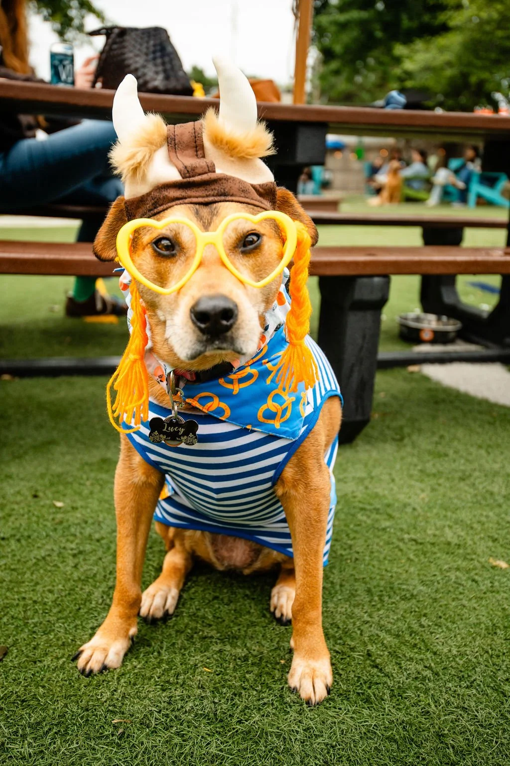 ODBBarktoberfest-75.jpg