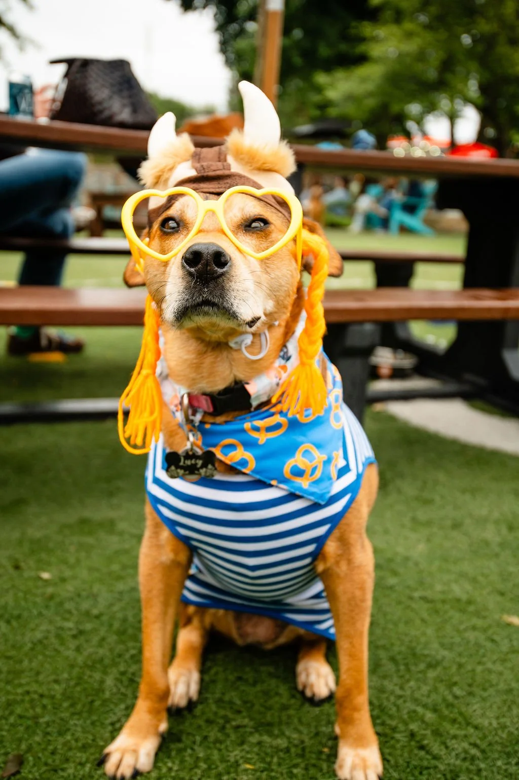 ODBBarktoberfest-76.jpg