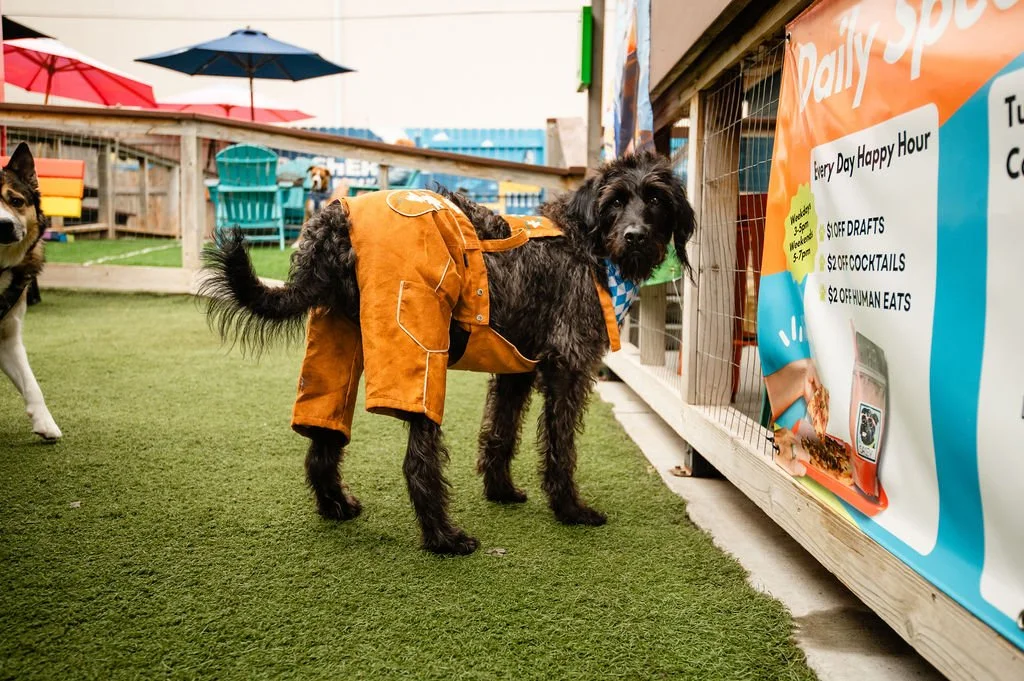 ODBBarktoberfest-77.jpg