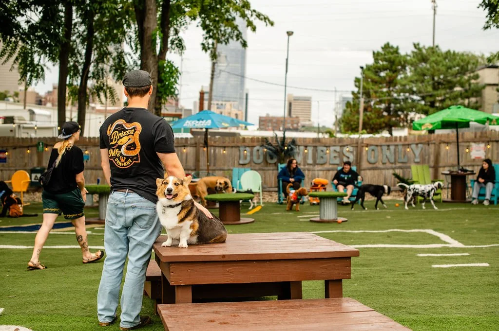 ODBBarktoberfest-81.jpg