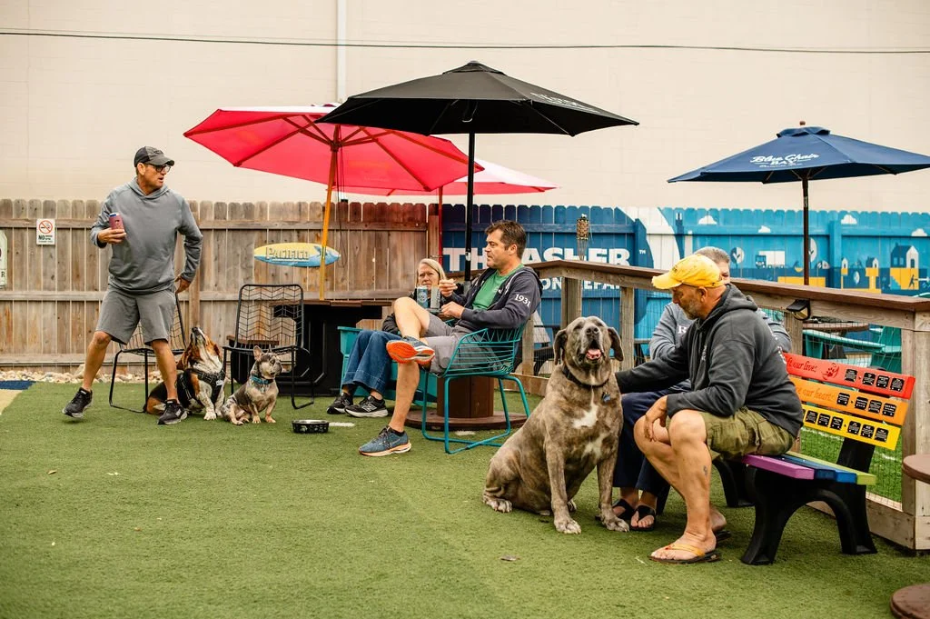 ODBBarktoberfest-83.jpg