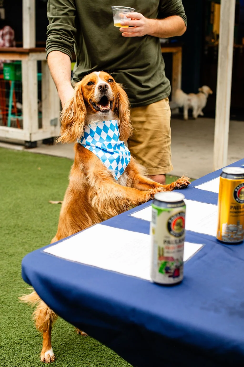 ODBBarktoberfest-89.jpg