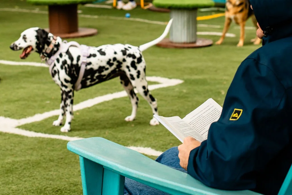 ODBBarktoberfest-99.jpg