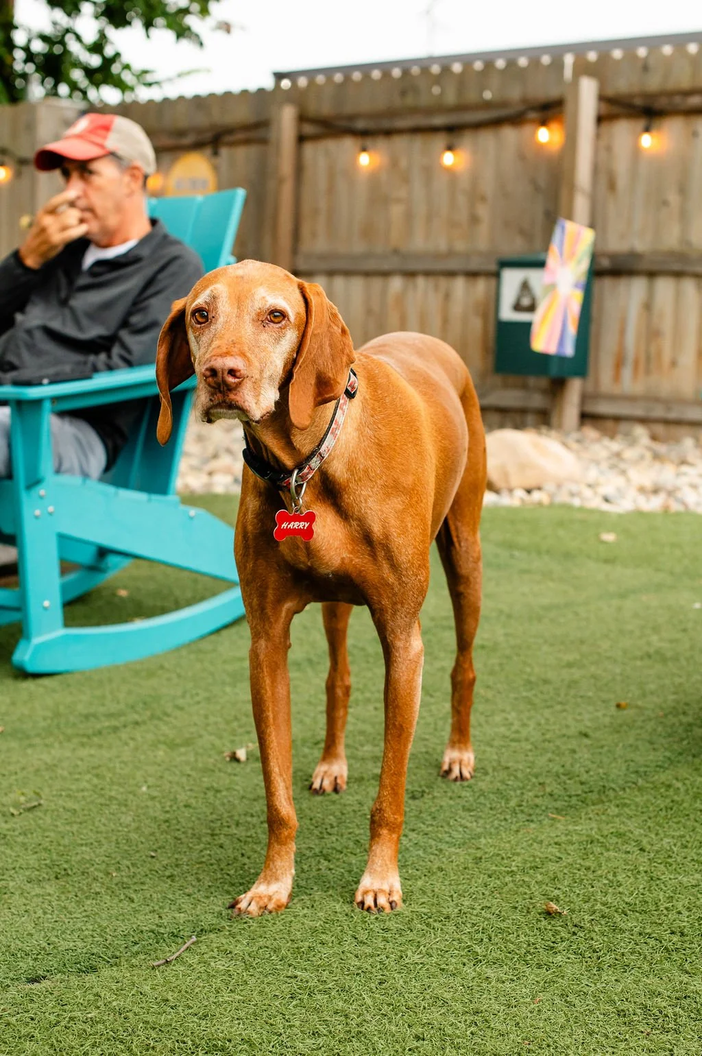 ODBBarktoberfest-102.jpg