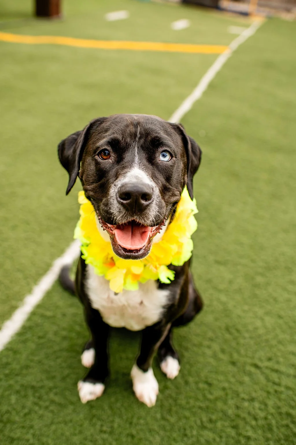 Luau2026-100.jpg