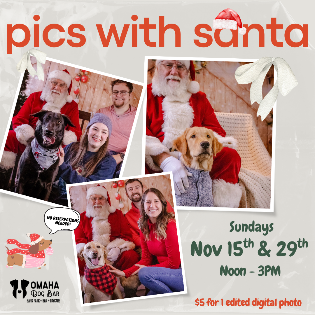 Pictures with Santa