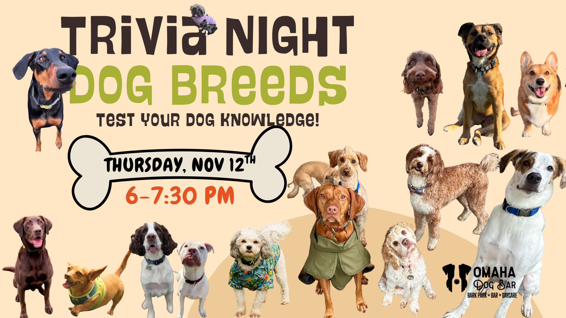 Dog Breed Trivia