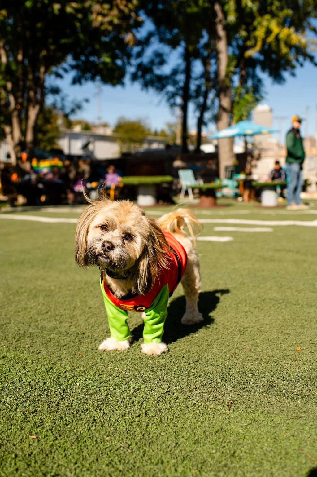 Barks&Boos'26-3.jpg