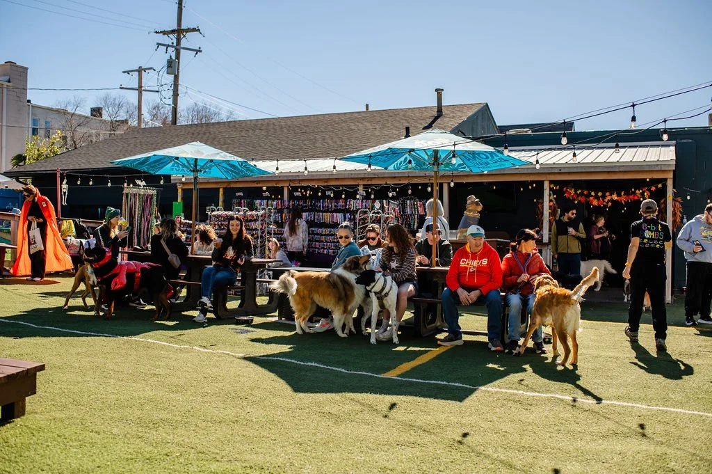 Barks&Boos'26-6.jpg