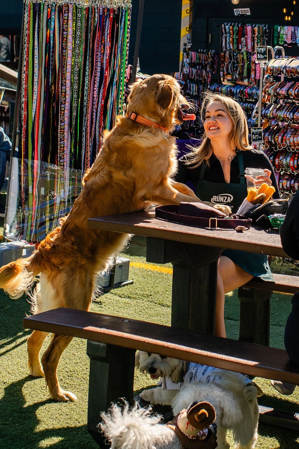 Barks&Boos'26-11.jpg