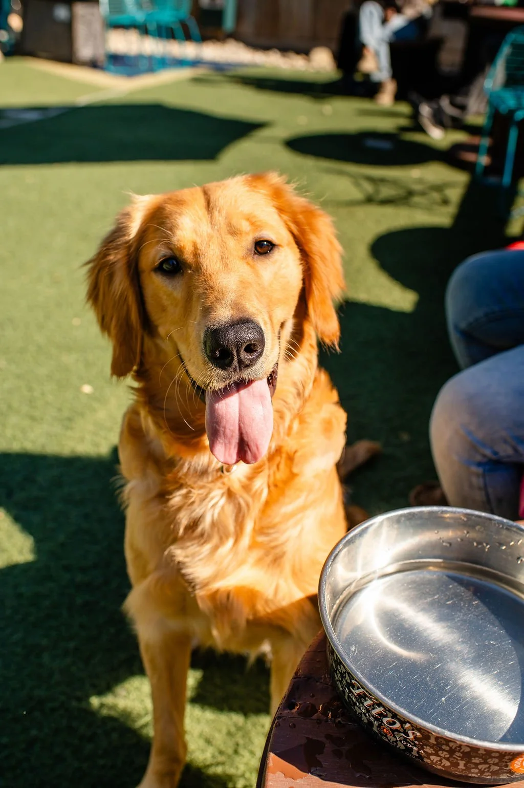 Barks&Boos'26-14.jpg