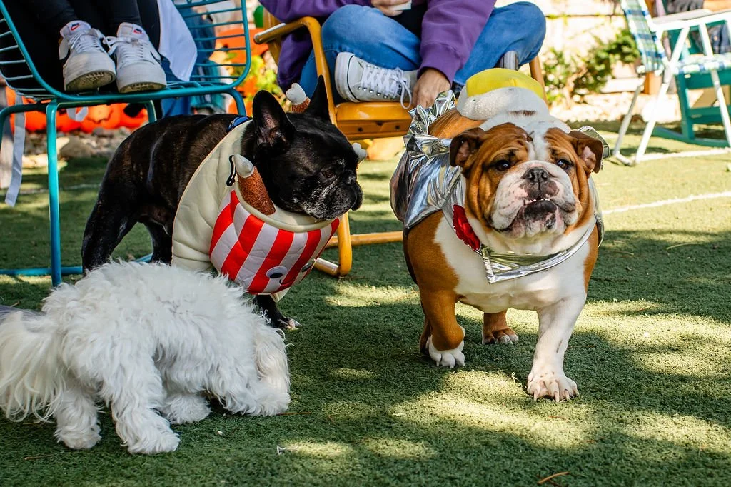 Barks&Boos'26-21.jpg