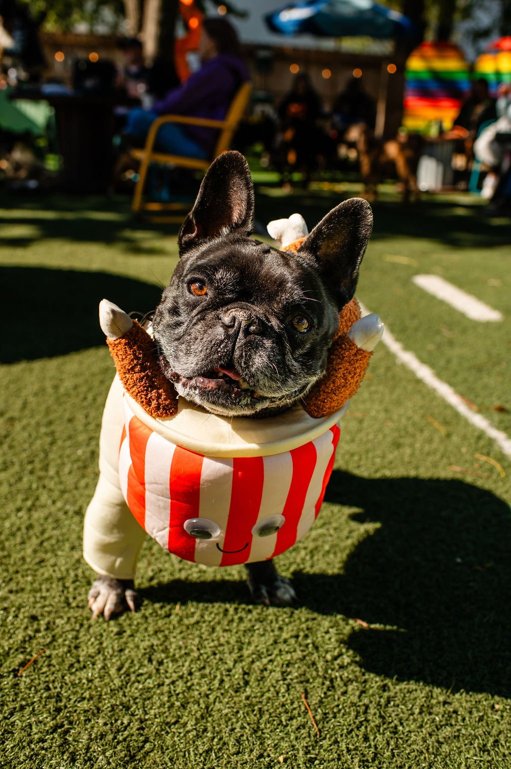 Barks&Boos'26-31.jpg