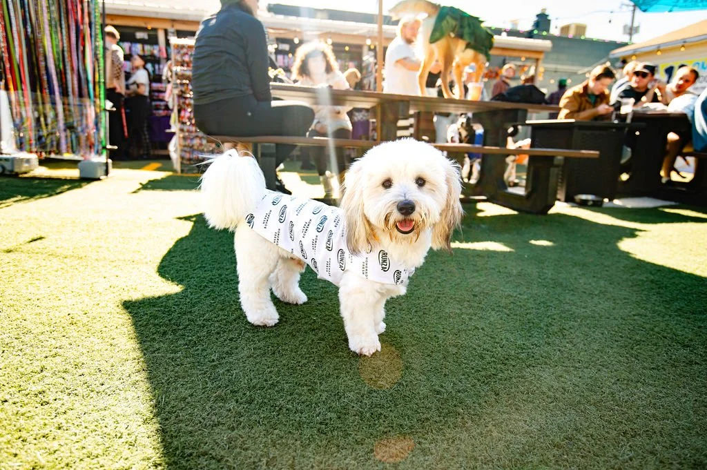 Barks&Boos'26-42.jpg