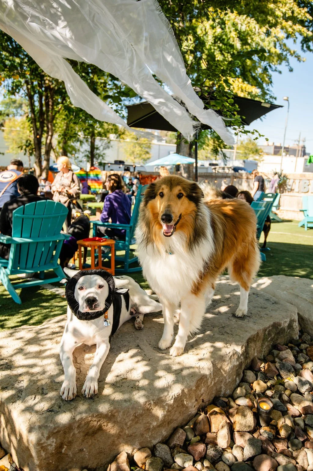 Barks&Boos'26-45.jpg