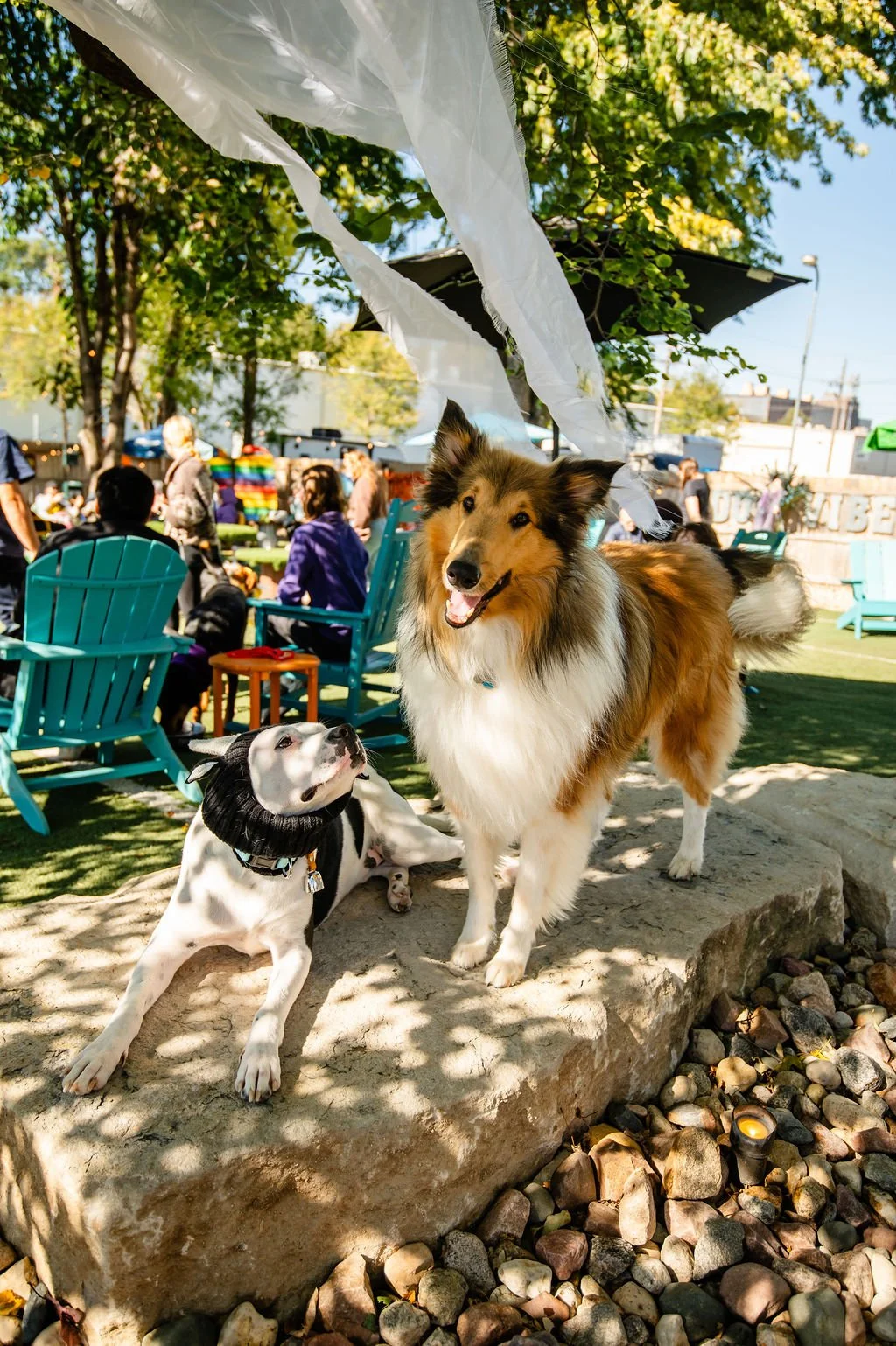 Barks&Boos'26-46.jpg