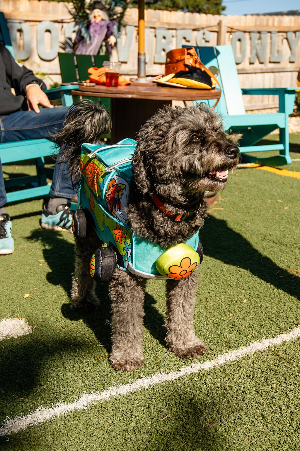 Barks&Boos'26-50.jpg