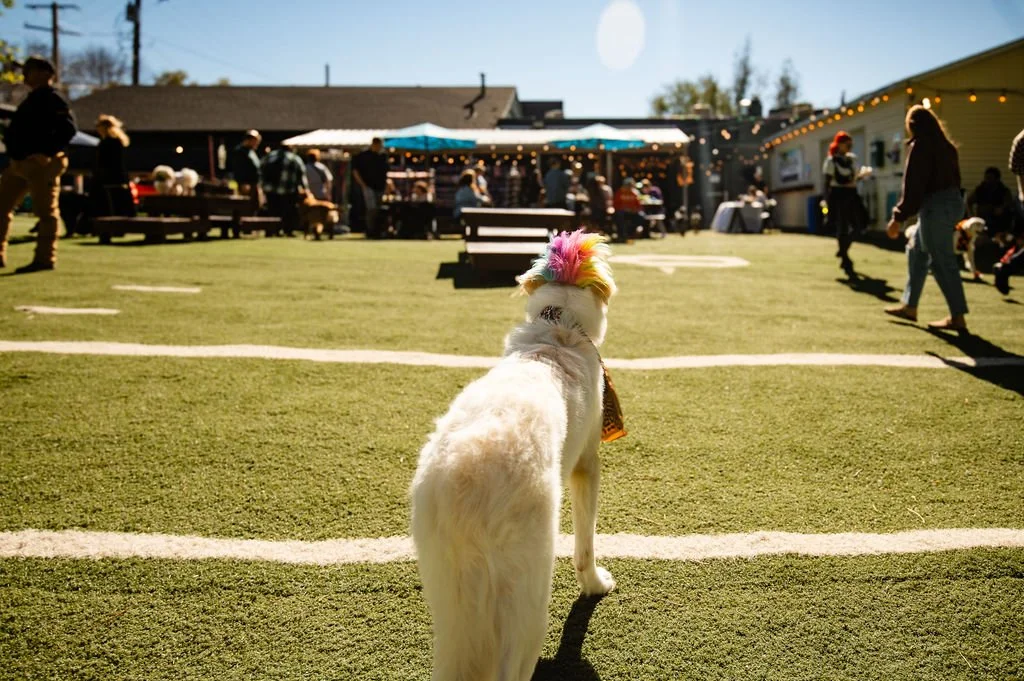 Barks&Boos'26-52.jpg