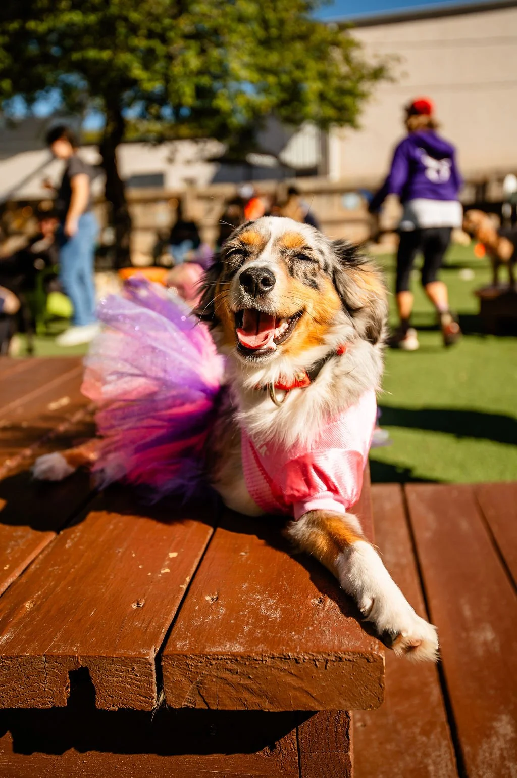 Barks&Boos'26-75.jpg