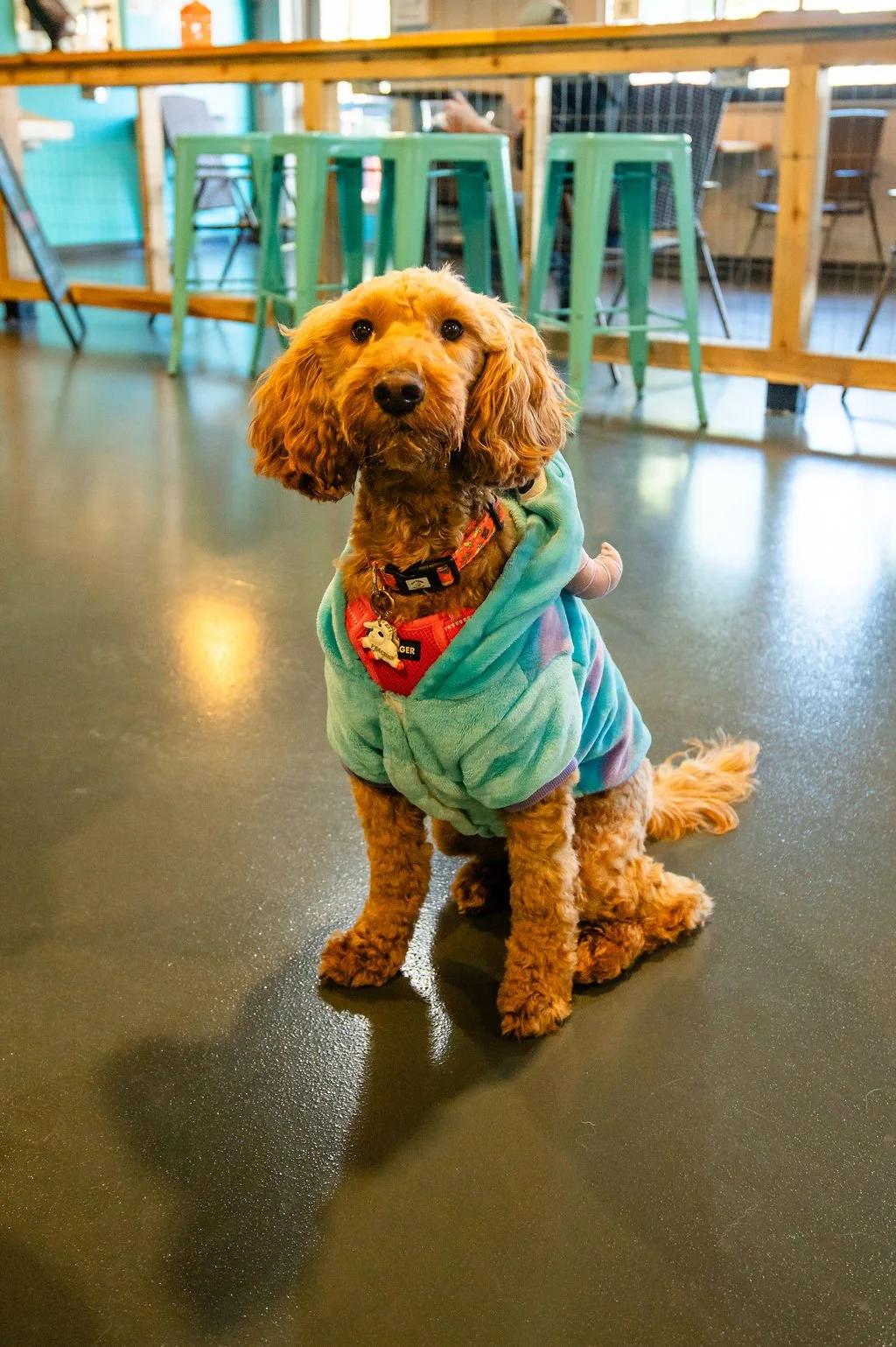 Barks&Boos'26-78.jpg