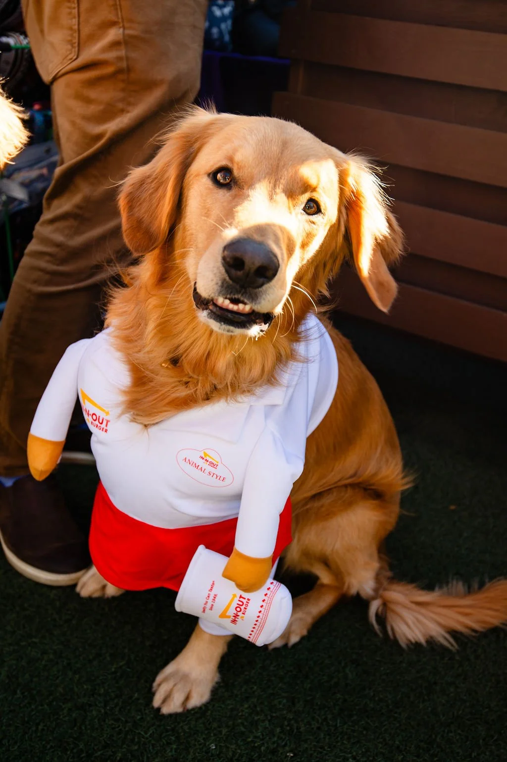 Barks&Boos'26-89.jpg