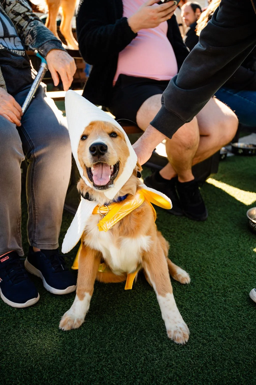 Barks&Boos'26-91.jpg