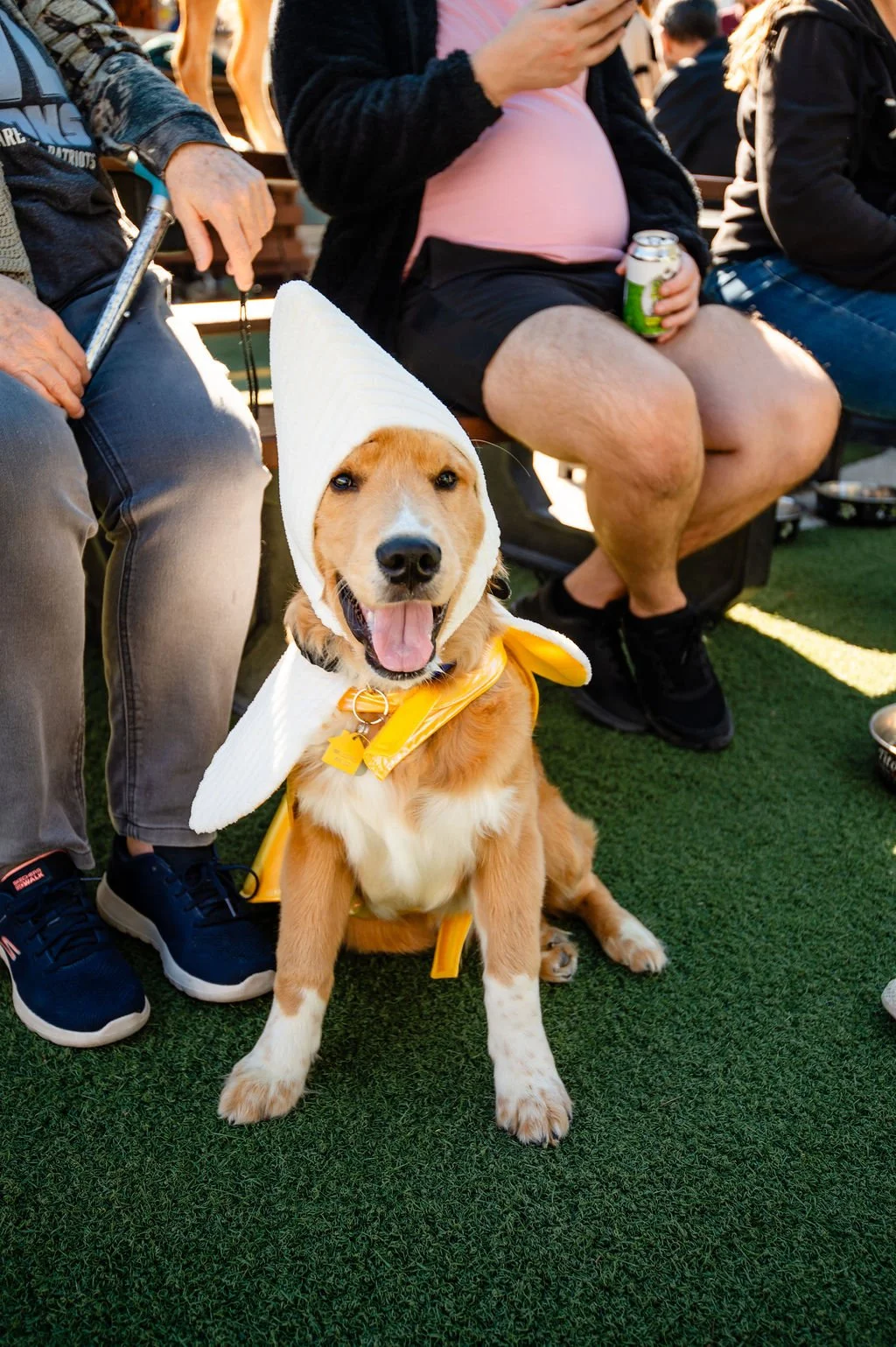 Barks&Boos'26-92.jpg