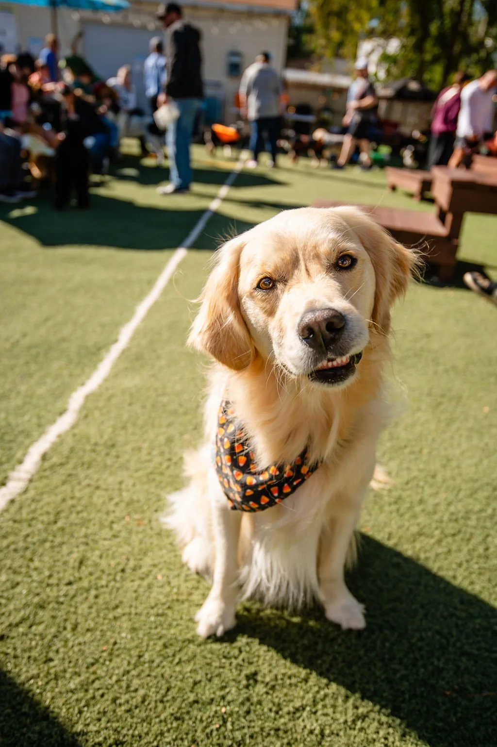Barks&Boos'26-93.jpg
