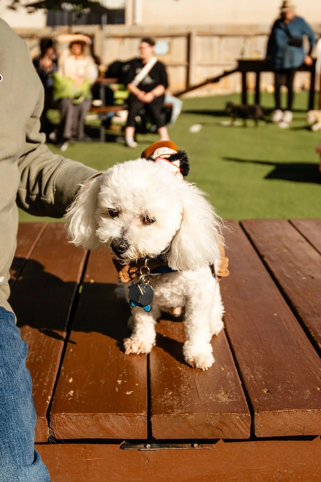 Barks&Boos'26-128.jpg
