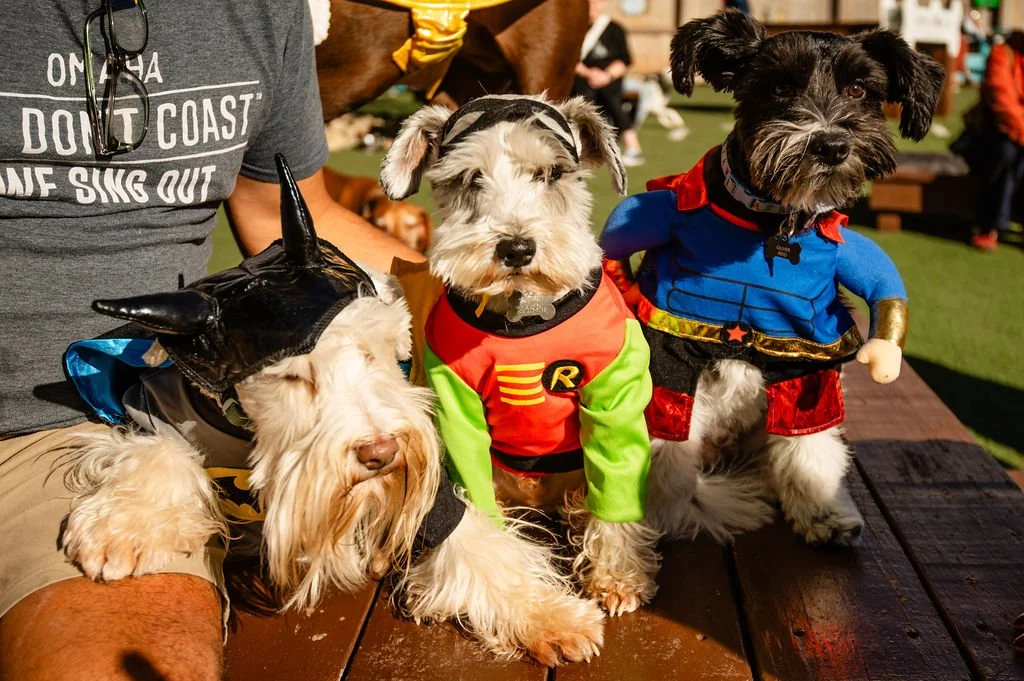 Barks&Boos'26-132.jpg