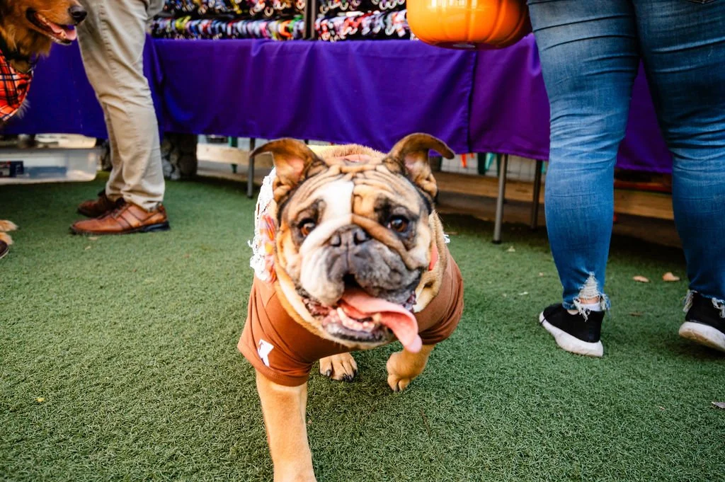Barks&Boos'26-145.jpg