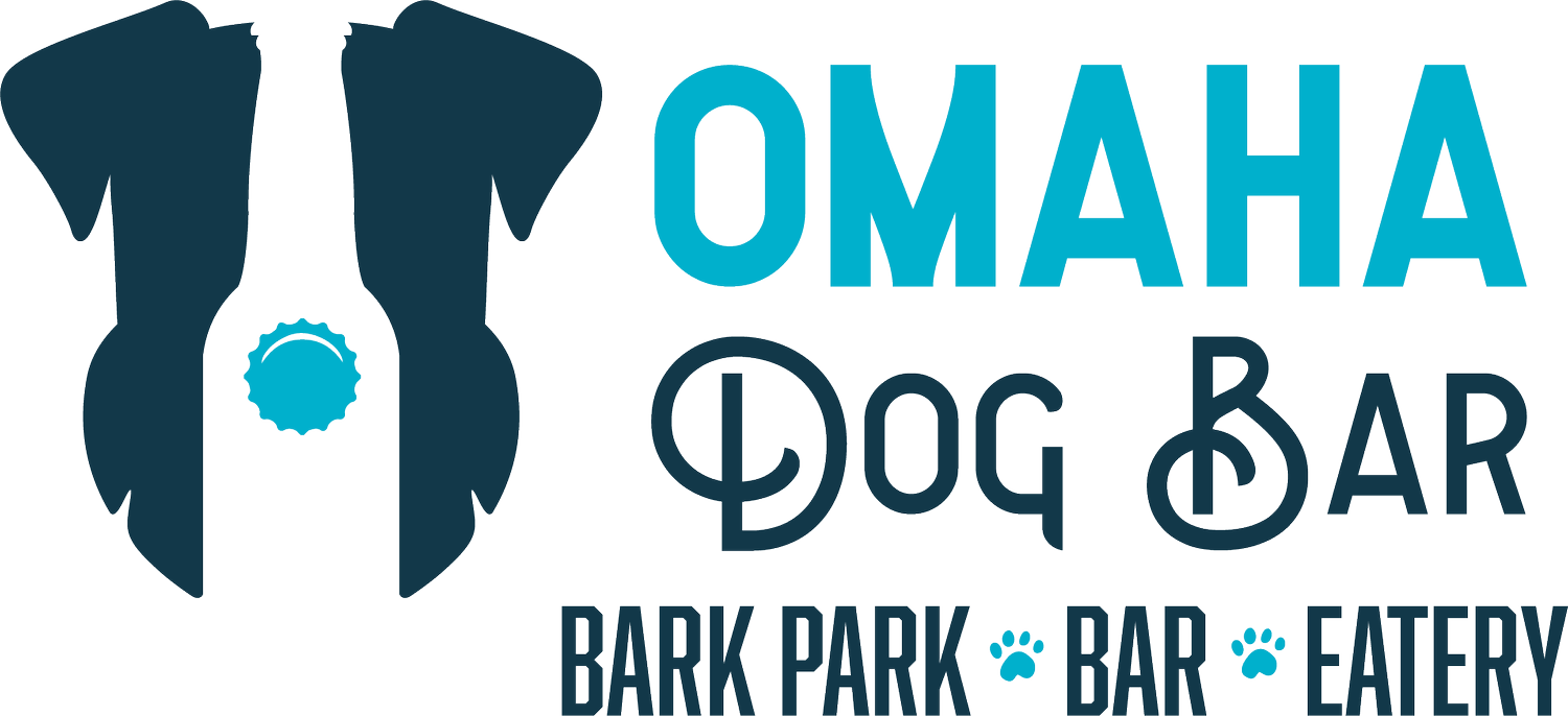 Omaha Dog Bar A Watering Hole for Dogs & Their People
